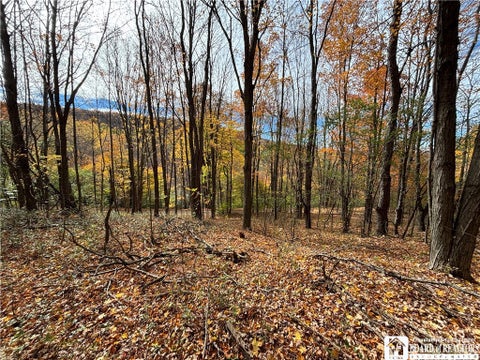 Tiny photo for Paynesville Hill Road, Independence, NY 14897 (MLS # R1724354)
