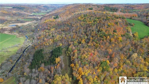 Tiny photo for Paynesville Hill Road, Independence, NY 14897 (MLS # R1724354)