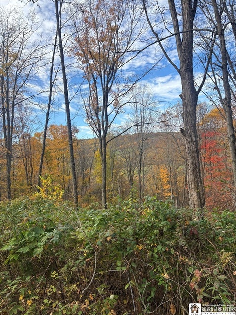 Tiny photo for Paynesville Hill Road, Independence, NY 14897 (MLS # R1724354)