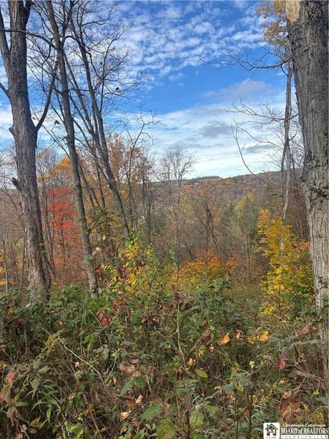 Tiny photo for Paynesville Hill Road, Independence, NY 14897 (MLS # R1724354)
