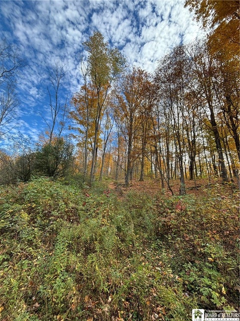 Tiny photo for Paynesville Hill Road, Independence, NY 14897 (MLS # R1724354)