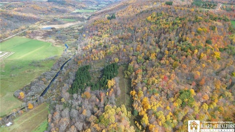 Tiny photo for Paynesville Hill Road, Independence, NY 14897 (MLS # R1724354)