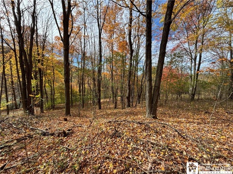 Tiny photo for Paynesville Hill Road, Independence, NY 14897 (MLS # R1724354)