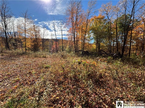 Tiny photo for Paynesville Hill Road, Independence, NY 14897 (MLS # R1724354)