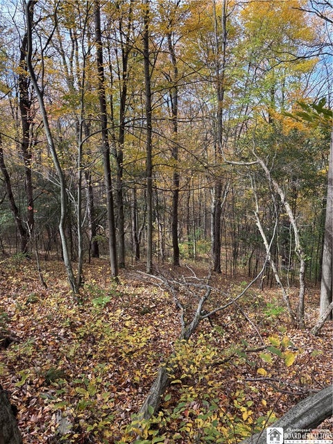 Tiny photo for Paynesville Hill Road, Independence, NY 14897 (MLS # R1724354)