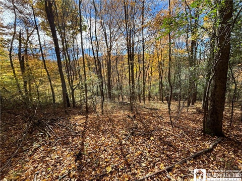 Tiny photo for Paynesville Hill Road, Independence, NY 14897 (MLS # R1724354)