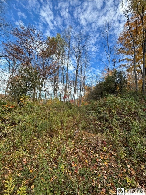 Tiny photo for Paynesville Hill Road, Independence, NY 14897 (MLS # R1724354)