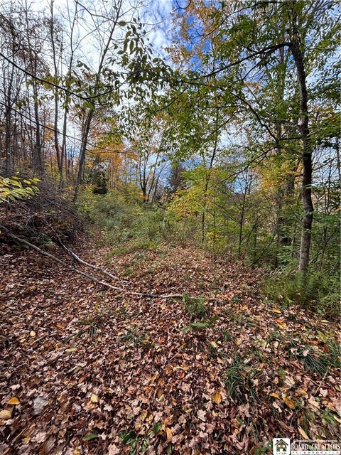 Tiny photo for Paynesville Hill Road, Independence, NY 14897 (MLS # R1724354)
