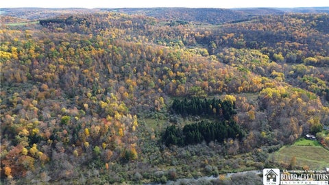 Tiny photo for Paynesville Hill Road, Independence, NY 14897 (MLS # R1724354)