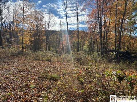 Tiny photo for Paynesville Hill Road, Independence, NY 14897 (MLS # R1724354)