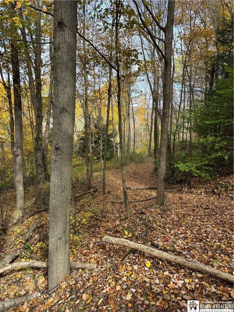 Tiny photo for Paynesville Hill Road, Independence, NY 14897 (MLS # R1724354)