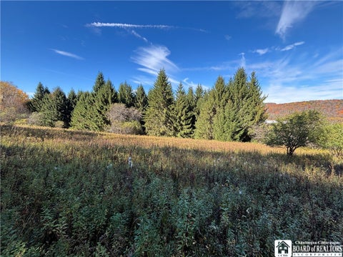 Tiny photo for Paynesville Hill Road, Independence, NY 14897 (MLS # R1724354)