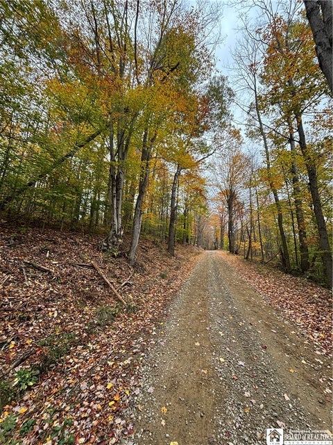 Tiny photo for Paynesville Hill Road, Independence, NY 14897 (MLS # R1724354)
