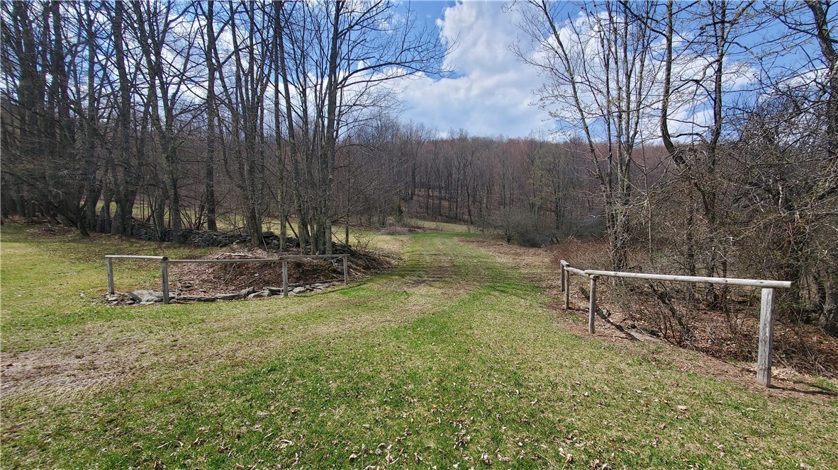 520 Reed Road, Hamden, New York image 32