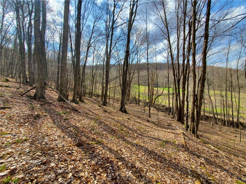 520 Reed Road, Hamden, New York image 43