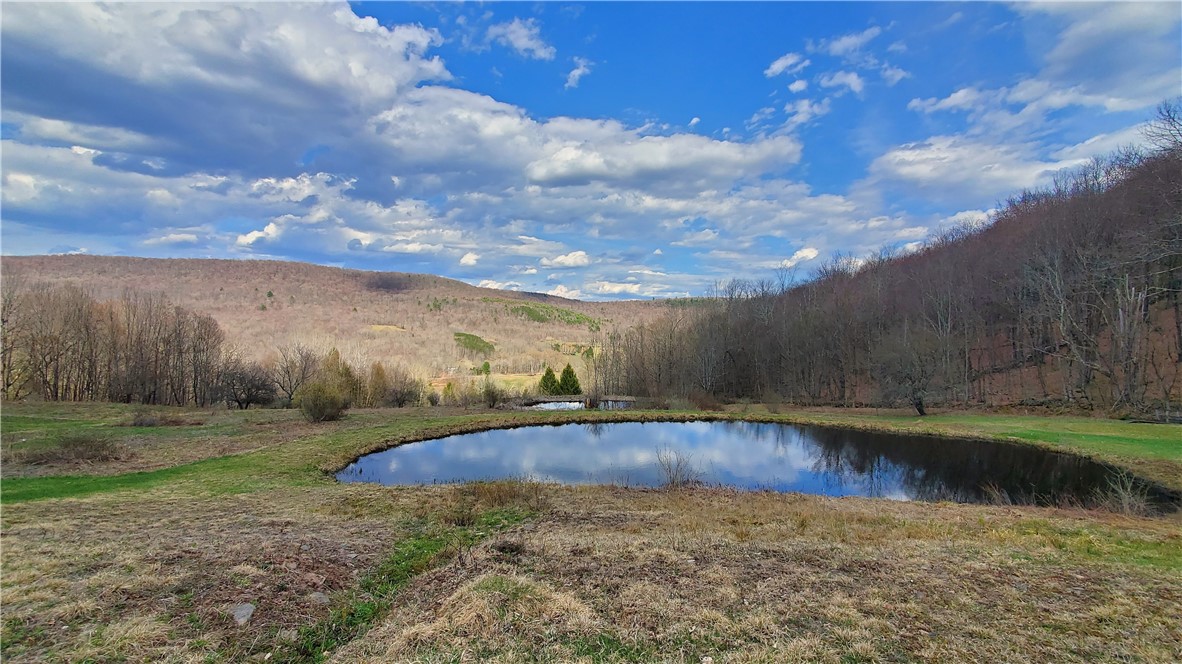 520 Reed Road, Hamden, New York image 6