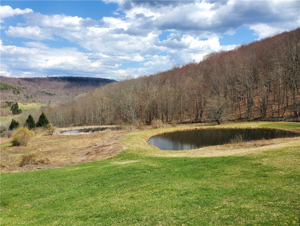 520 Reed Road, Hamden, New York image 33