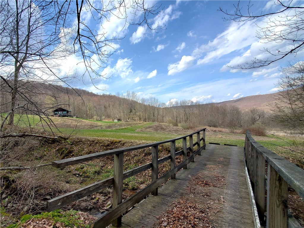 520 Reed Road, Hamden, New York image 39