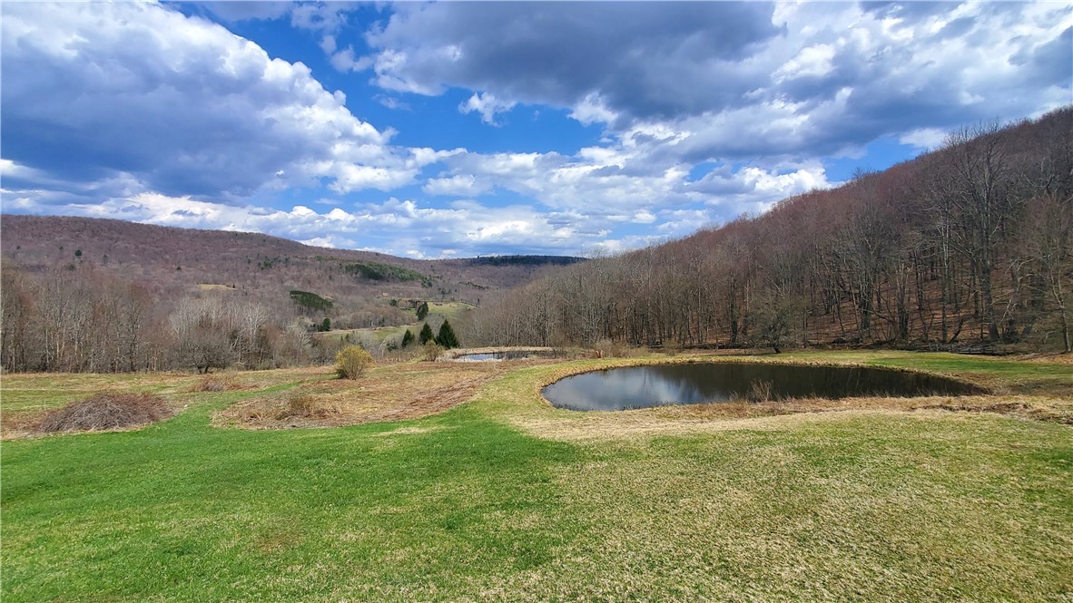 520 Reed Road, Hamden, New York image 5