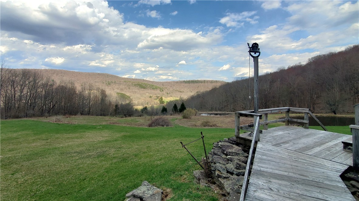 520 Reed Road, Hamden, New York image 13