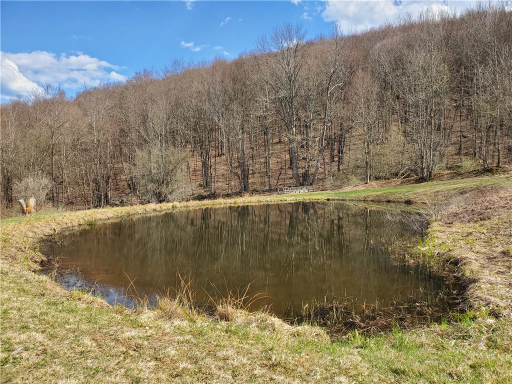 520 Reed Road, Hamden, New York image 38