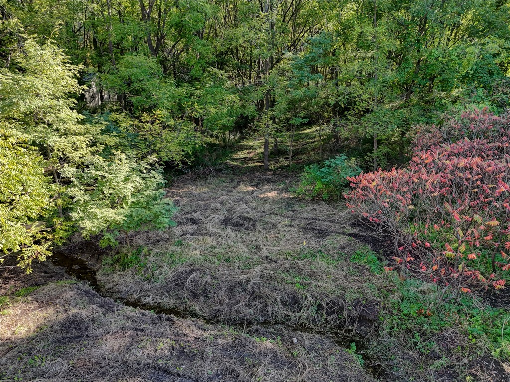 Rabbit Run, East Bloomfield, New York image 7