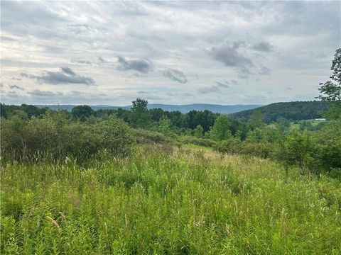 Vacant Land For Sale - Sisson Hill Road<br/> Unadilla, NY 13849