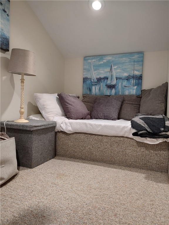 4105 Canoga Shores Shrs, Fayette, New York image 25