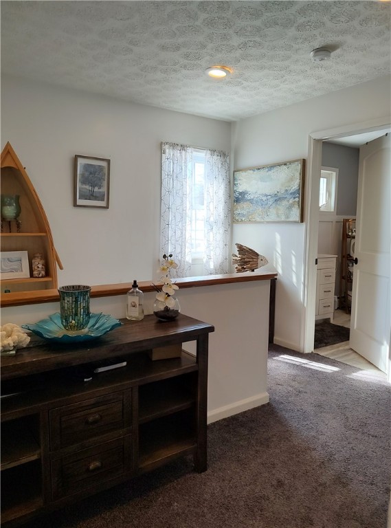 4105 Canoga Shores Shrs, Fayette, New York image 30