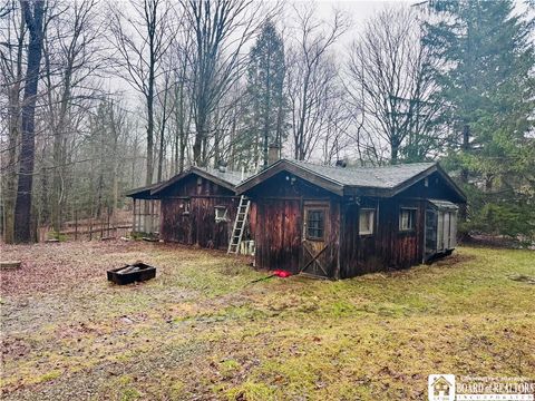 Homes For Sale - 9492 Sprague Road<br/> Ripley, NY 14775