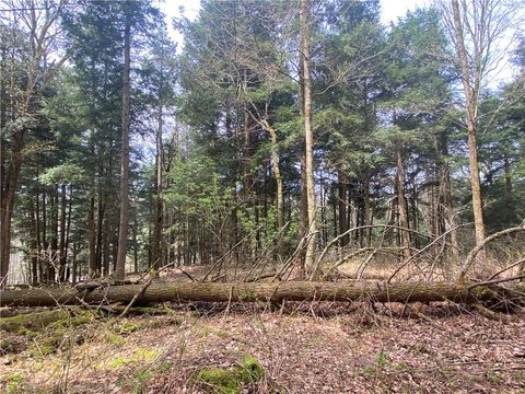 Photo of Lot A Piermott Lane, Hartwick, NY 13348 (MLS # R1648848)