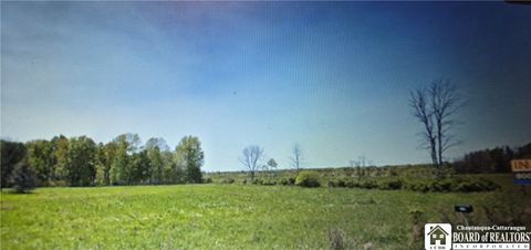 Vacant Land For Sale - 12011 Route 62<br/> Dayton, NY 14138