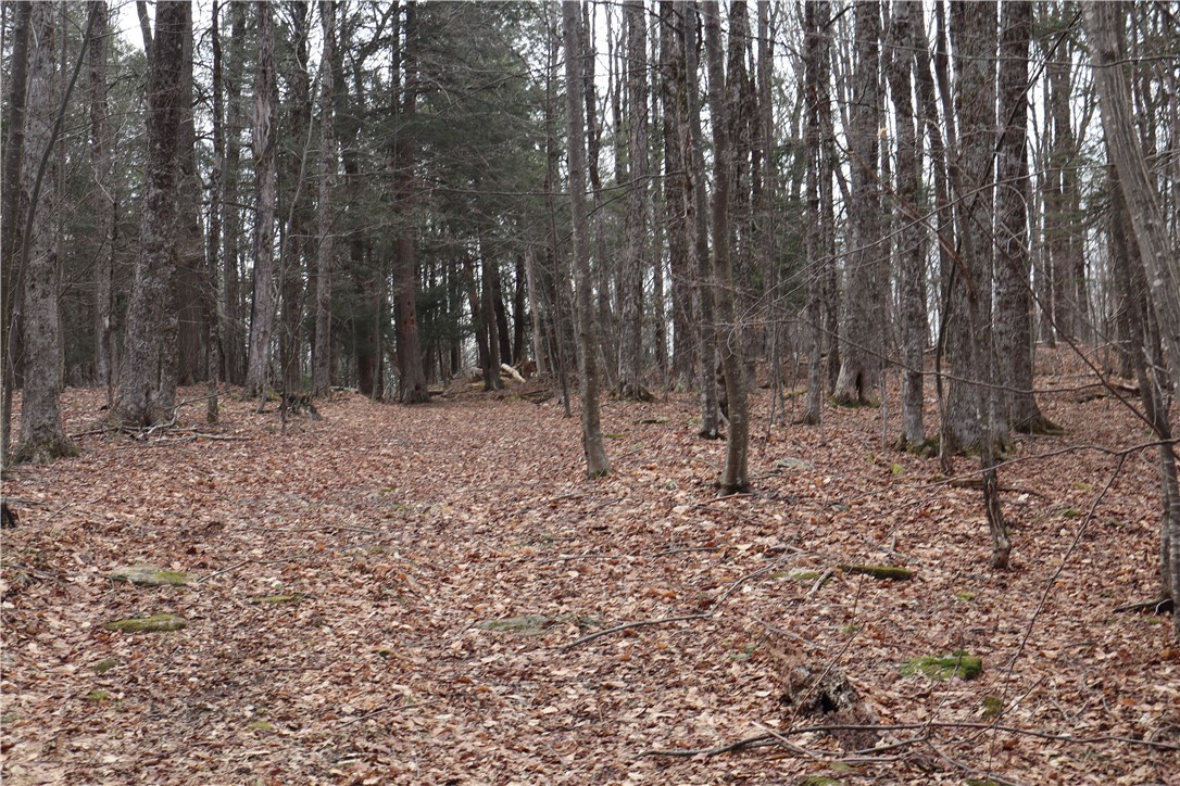 TBD Terrace Drive, Lexington, New York image 17