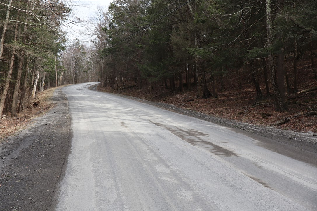 TBD Terrace Drive, Lexington, New York image 10