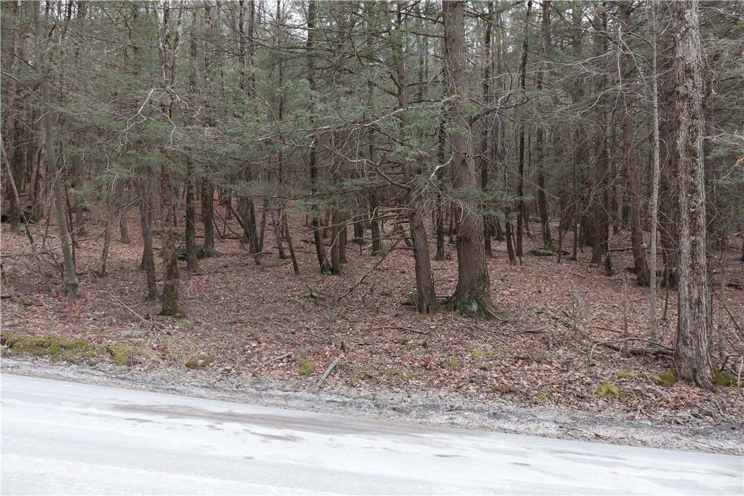 TBD Terrace Drive, Lexington, New York image 9