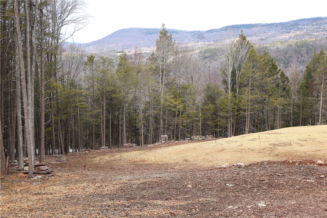 TBD Terrace Drive, Lexington, New York image 14