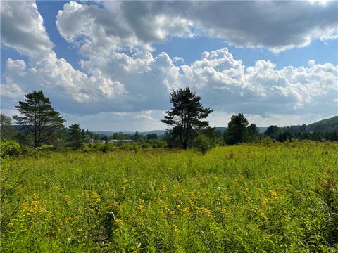 Vacant Land For Sale - Cr-17<br/> Friendship, NY 14739