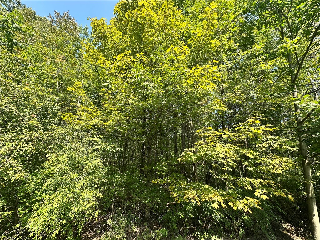 Sears pond road