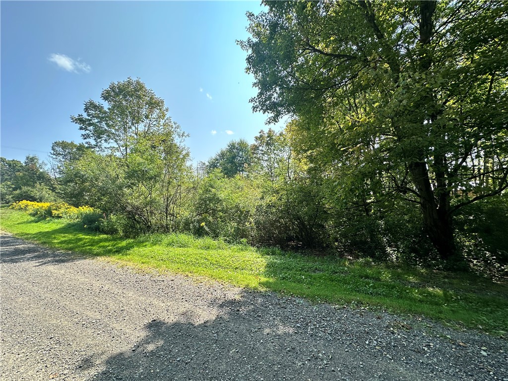 Sears pond road