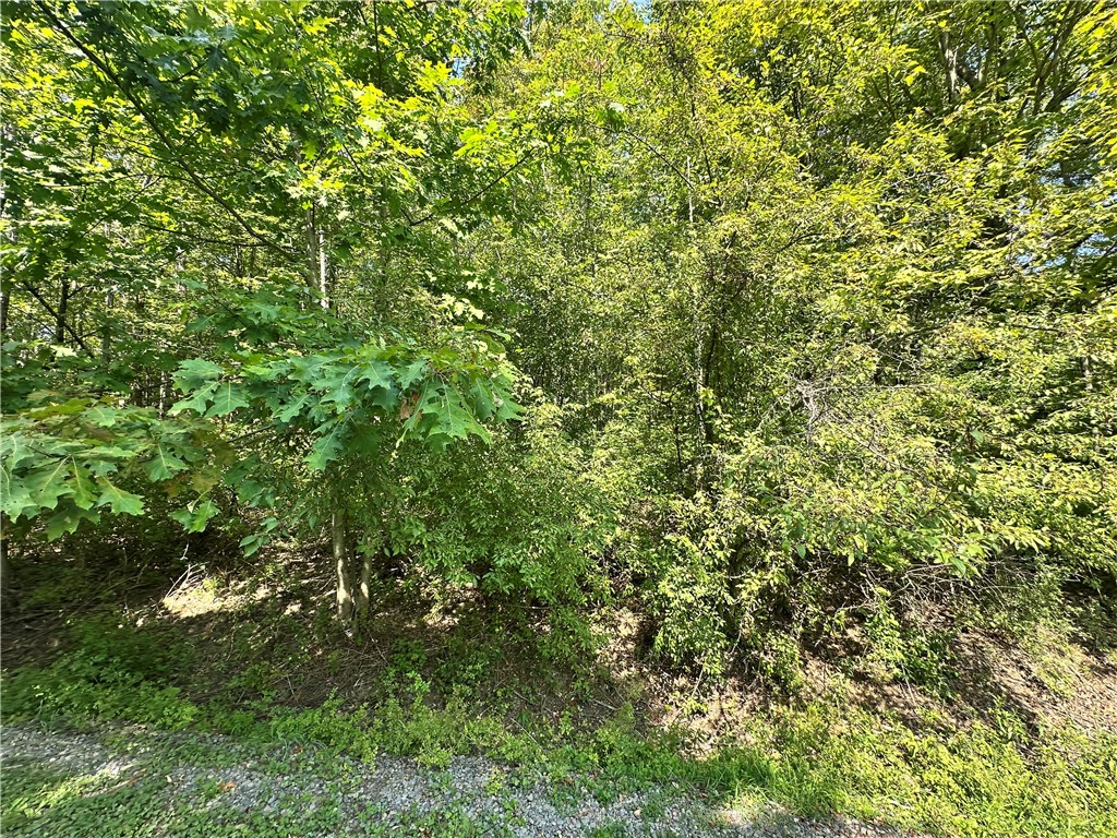 Sears pond road