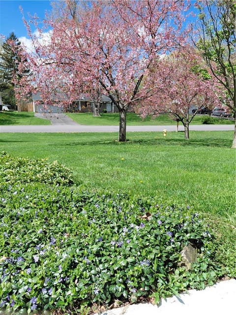 Tiny photo for 76 Amsden Drive, Henrietta, NY 14623 (MLS # R1702416)