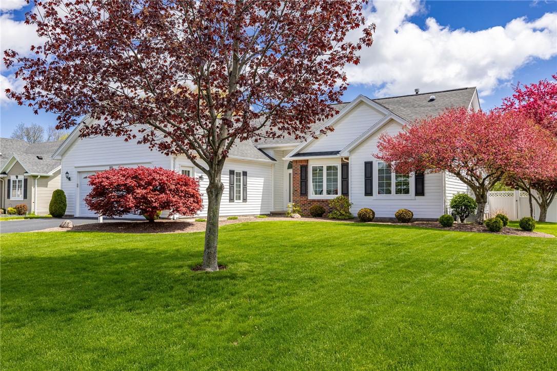 80 Albury Drive
