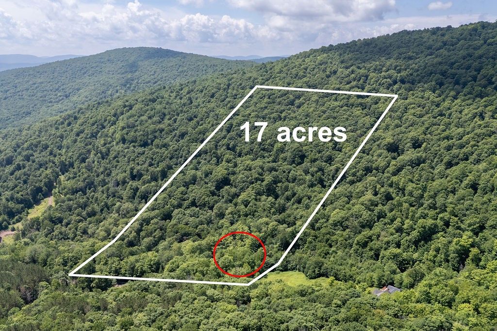 Photo of 4265 Weaver Hollow Road RD, Andes, NY 13731 (MLS # R1697884)