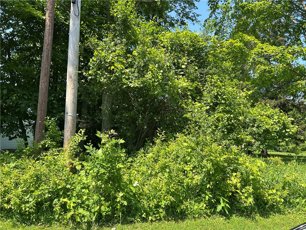62 Royal Oak Drive, Gates, New York image 1