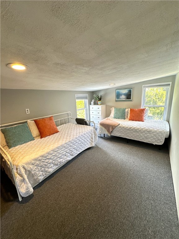 8879 Gallagher Road, Pulteney, New York image 19