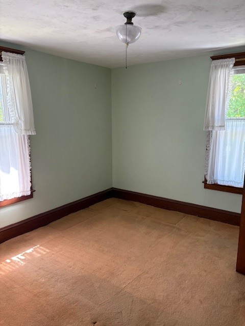 1717 W Water Street, Elmira, New York image 15