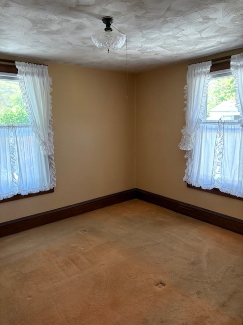 1717 W Water Street, Elmira, New York image 14