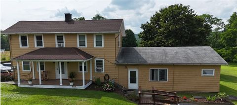 51 Goodrich Road Owego NY 13827