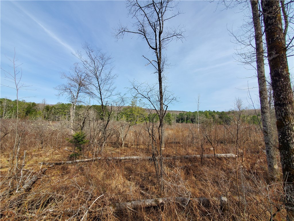 Lot #12 Goddards, New Lisbon, New York image 19