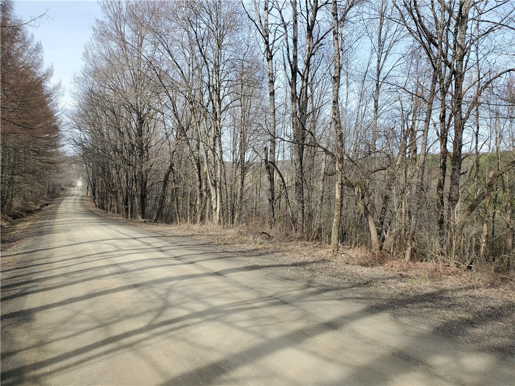 Lot #12 Goddards, New Lisbon, New York image 6